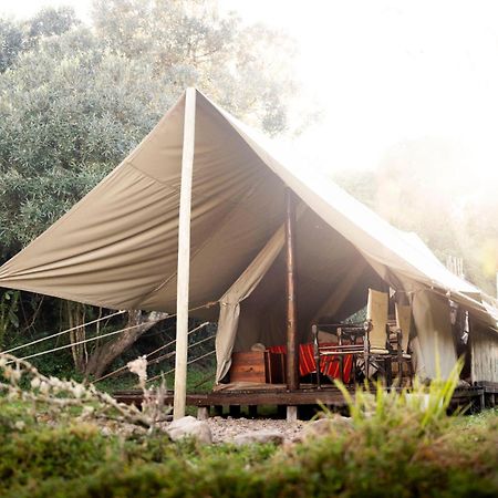 Quatermain'S 1920'S Safari Camp - Amakhala Game Reserve Exterior photo