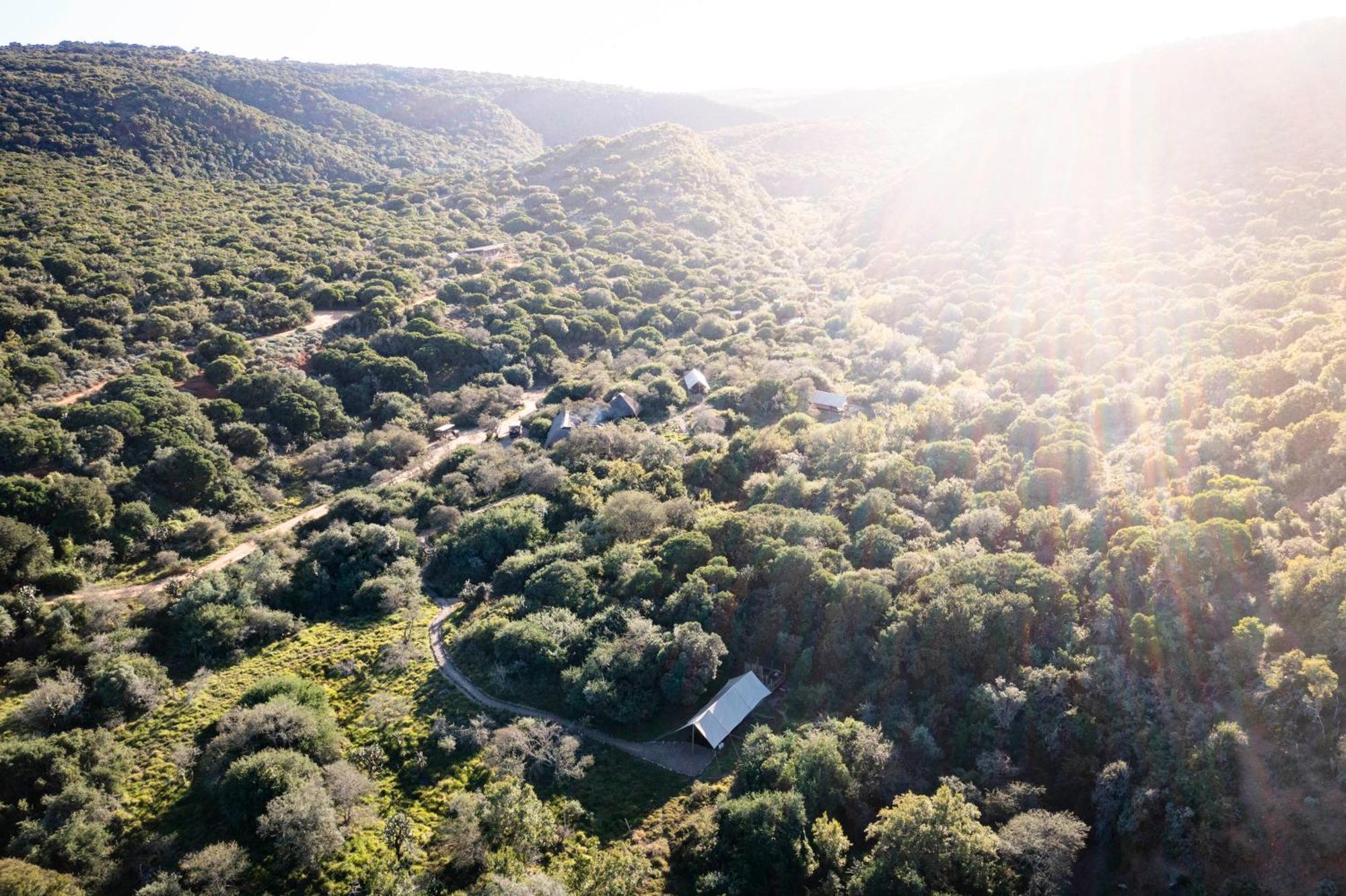 Quatermain'S 1920'S Safari Camp - Amakhala Game Reserve Exterior photo