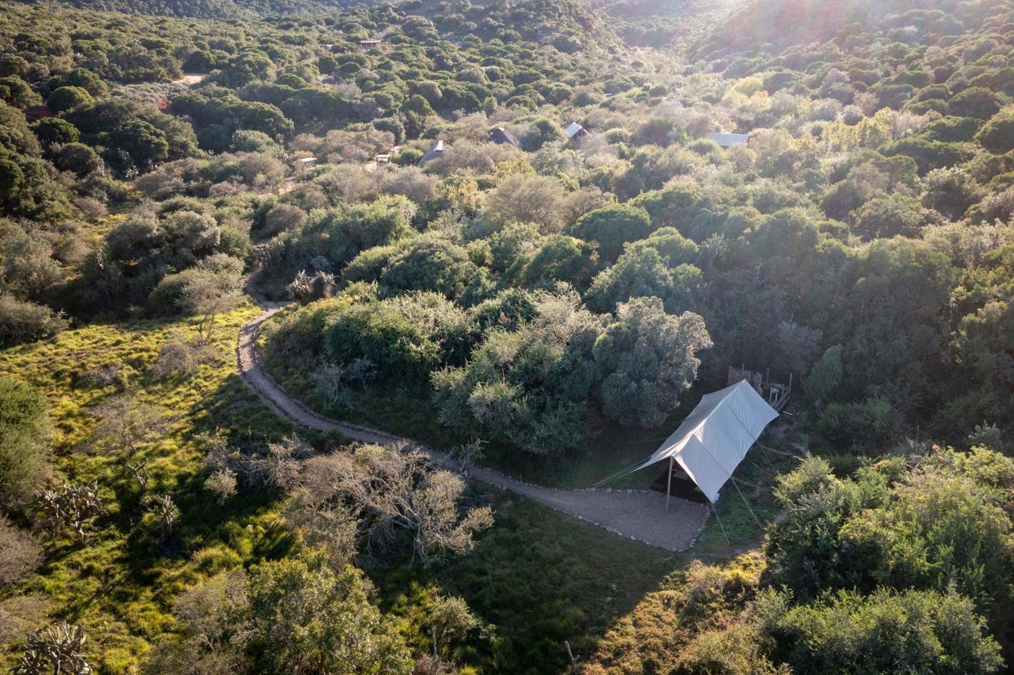 Quatermain'S 1920'S Safari Camp - Amakhala Game Reserve Exterior photo