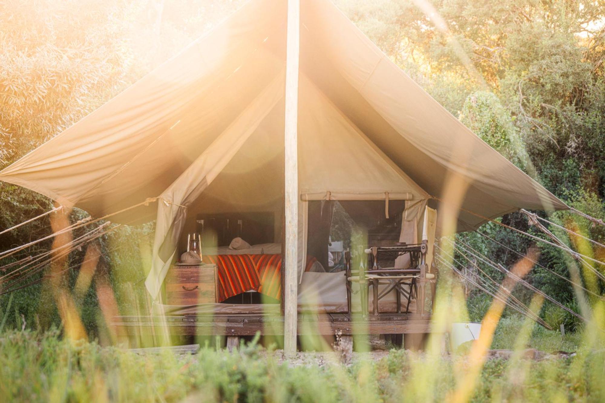 Quatermain'S 1920'S Safari Camp - Amakhala Game Reserve Exterior photo